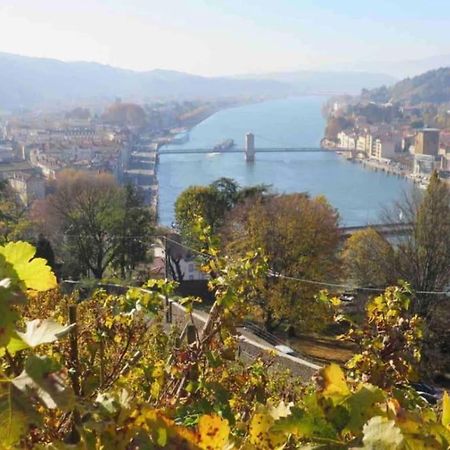 Appartement Vignes 2 Personnes Vienne  Exterior foto